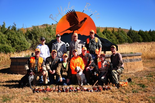 Pheasant Groups Photo